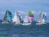 Racing during Cowes week