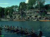 Eights week rowing on the Thames