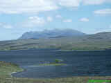 Ben Loyal