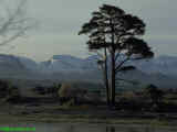 Cairngorms in Winter