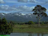 Cairngorms in Summer